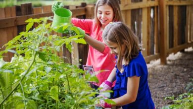 Hotels That Provide Babysitting and Childcare Services