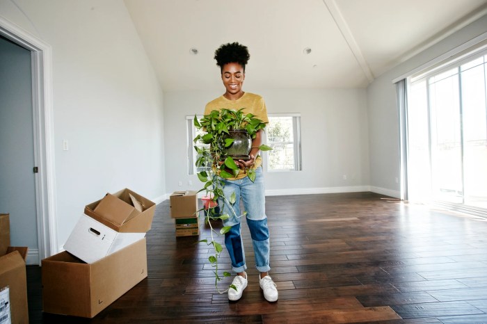 Top Interior Tips for First-Time Homeowners