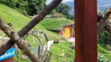 How to Find Eco-Friendly Hotels Without Sacrificing Comfort