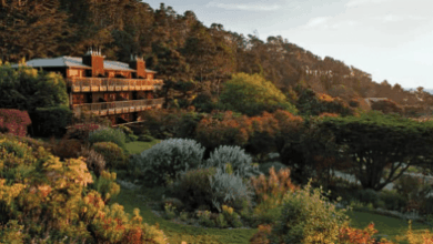 Top Hotels for Vegan and Plant-Based Travelers