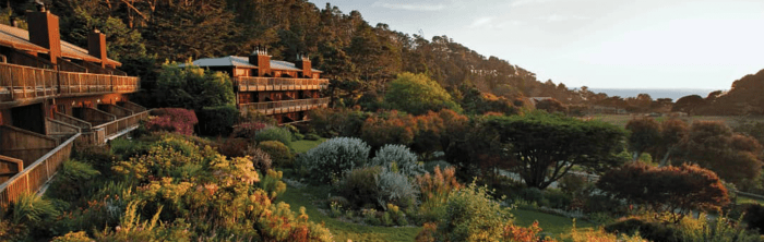 Top Hotels for Vegan and Plant-Based Travelers