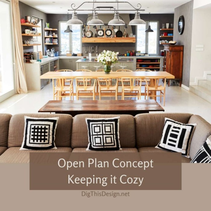 How to Make an Open Floor Plan Feel Cozy