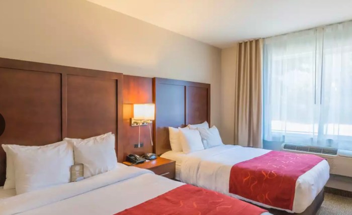 Best Hotels with Pet-Friendly Services and Amenities