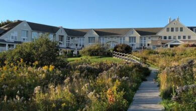 Best Hotels with Pet-Friendly Services and Amenities