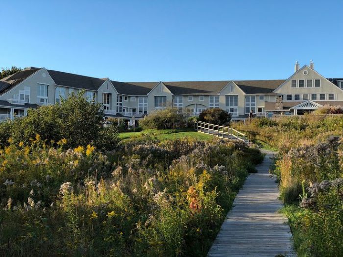 Best Hotels with Pet-Friendly Services and Amenities