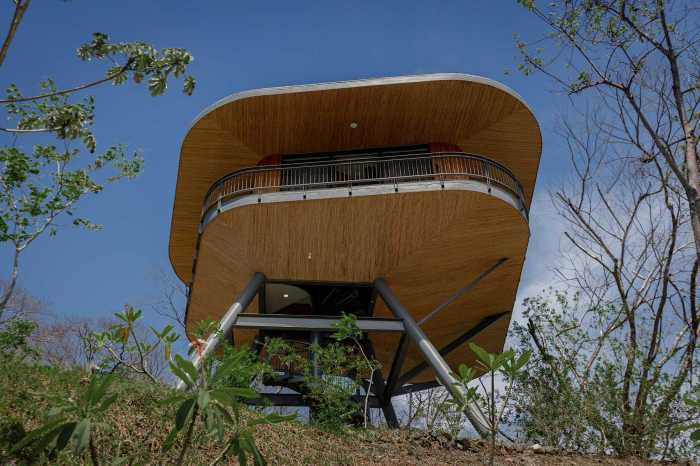 Hotels with Luxury Treehouses or Elevated Suites