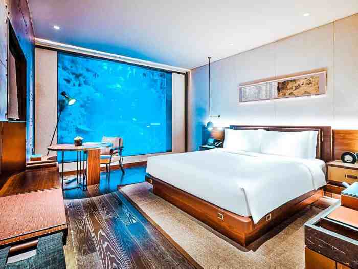 Hotels with Underwater Rooms or Aquatic Views