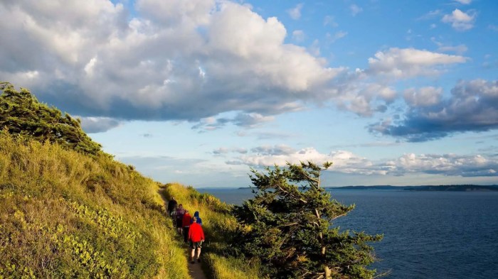 Top Hotels for Island-Hopping Adventures