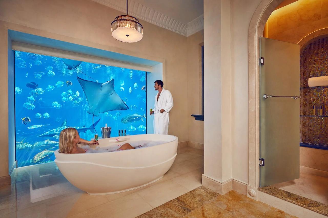 Hotels with Underwater Rooms or Aquatic Views