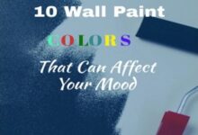 Mood colour wall boost schemes can lisa leech cohen stylist bree photographer