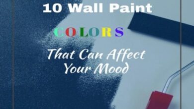 Mood colour wall boost schemes can lisa leech cohen stylist bree photographer